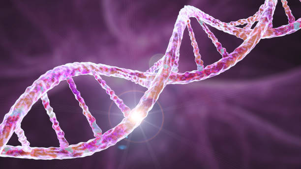Lee más sobre el artículo ¿Cuál es el Futuro de la Edición Genética?